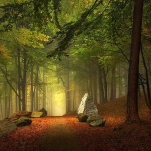 62967_518873508165616_1721187370_n