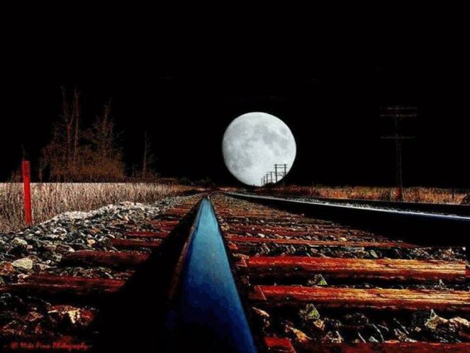 12801504_10204500859361106_8010047724902083509_n