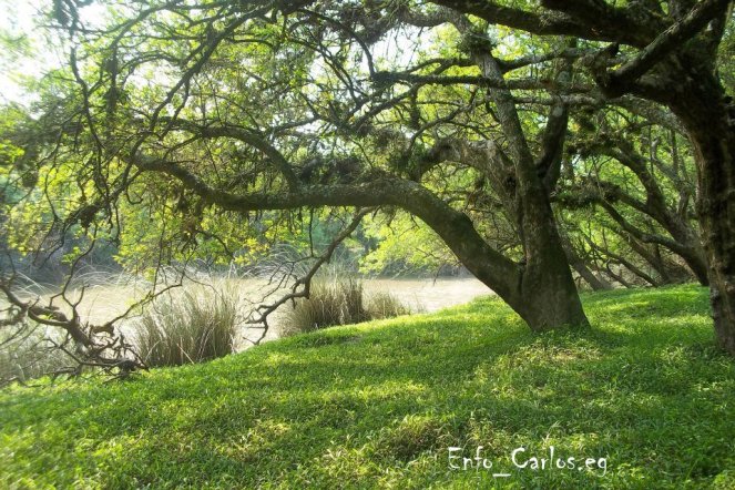 506_3934598263005_710542140_n