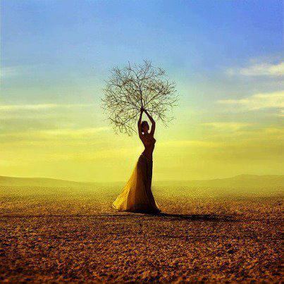 549256_504859086233734_752726820_n