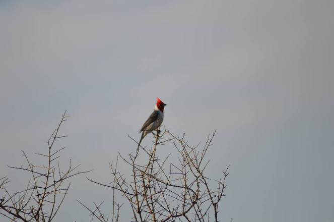 17021947_10206816011878472_2735470756674663020_n