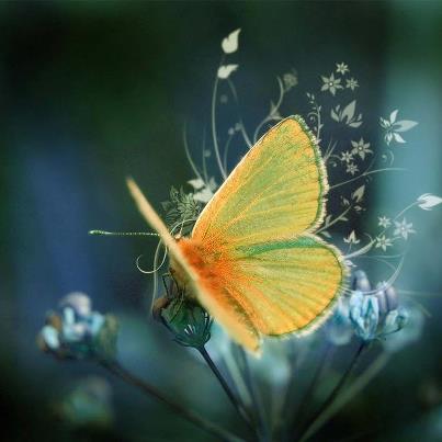 540041_547977218554937_1371341603_n #