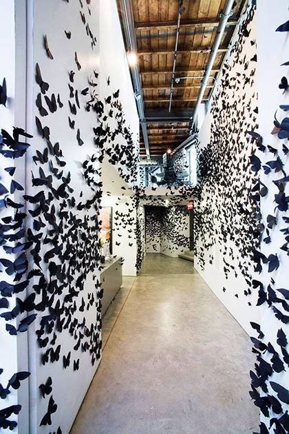 1779859_752488748102709_1595226089_n