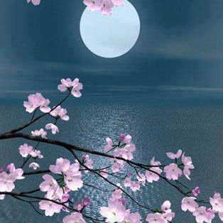 552569_326979620752596_1222814711_n