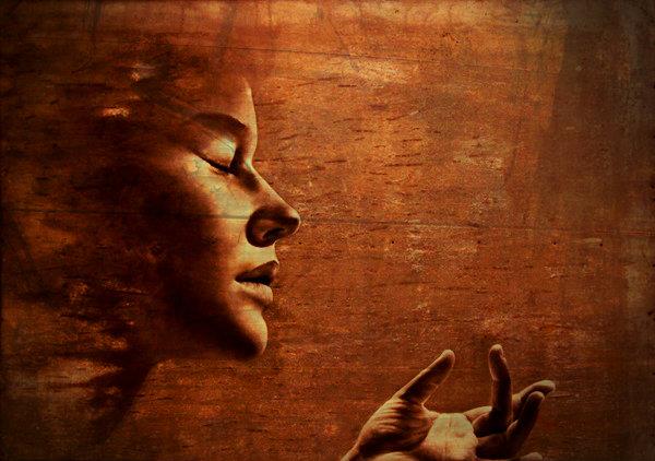 555423_513019592078179_364901446_n