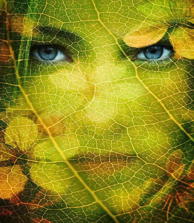 229228_3196727376694_1301747849_n